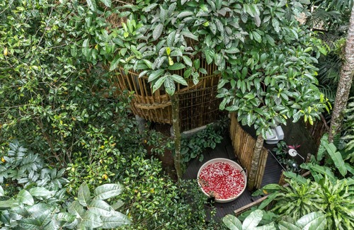 East Selemadeg Villa | Retraite en pleine nature ! Belle villa en bambou avec 1 chambre à Tabanan