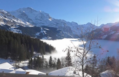 Wengen Appartement | Jungfrau a d Ledi by Interhome