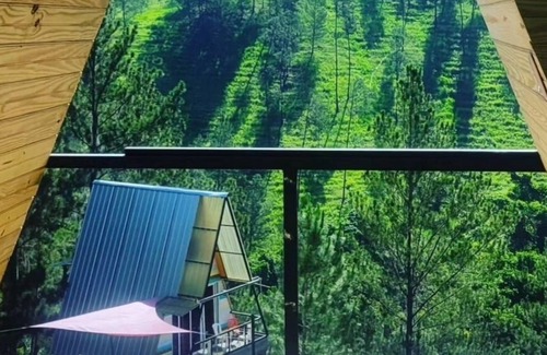 San Jose de las Matas Cabine | Junglavida