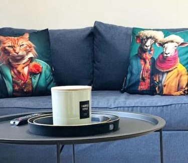 Laon Appartement | Jungle Appartement avec terrasse
