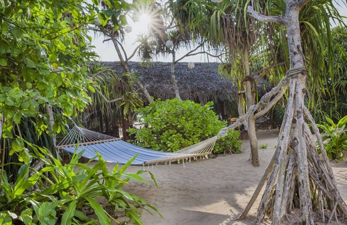 Ahungalla Maison | Jungle Beach Camp Ahungalla - Bungalow Glamping Standard