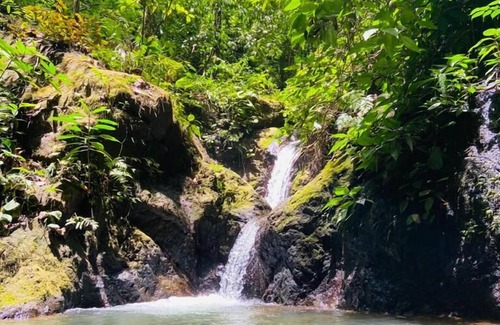 Drake Bay Hôtel | Jungle Drake