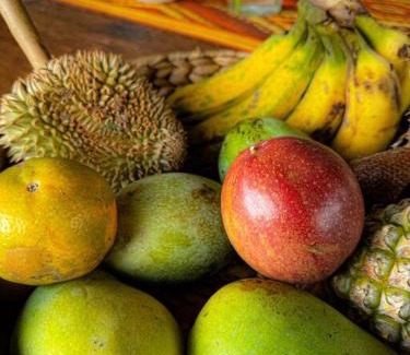 East Selemadeg Chalet De Ski | Jungle Haven Bali - JHB