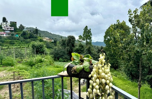 Kaul Villa | Jungle Kinara Hill View 3 BHK By Homeyhuts