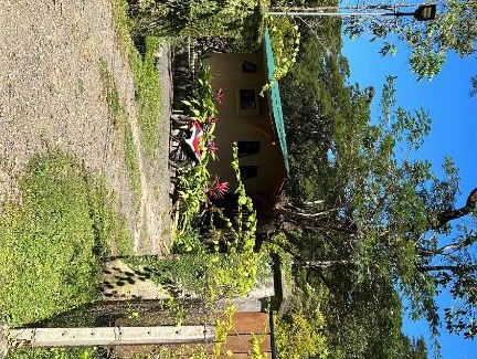 Cabuya Maison | Jungle Lodge