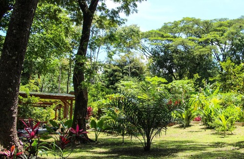 Cabuya Maison | Jungle Lodge