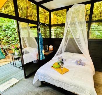 Baru Maison | Jungle Loft