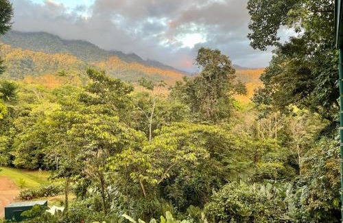 Ballena Cabine | Jungle Passion Lodge