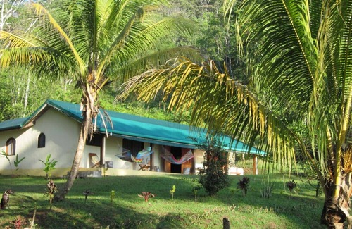 Rincon Maison | Jungle Retreat une maison sur la plage au milieu de la jungle