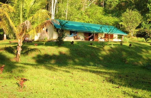 Rincon Maison | Jungle Retreat une maison sur la plage au milieu de la jungle