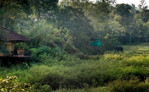 Kaimane Cabine | Jungle Retreat Wayanad