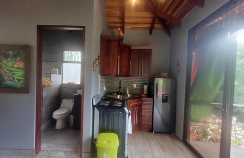 Escobal Maison | Jungle River