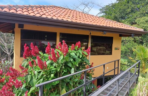 Escobal Maison | Jungle River