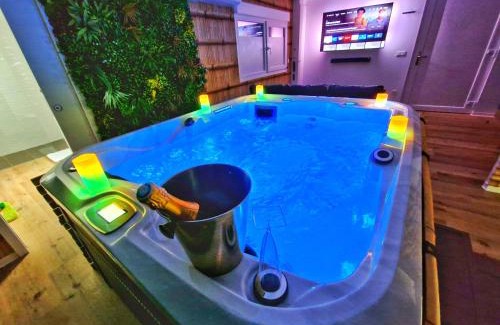 Muntzenheim Appartement | JUNGLE SPA-4 Pers-Jacuzzi-Parking-Jardin-Clim-Colmar