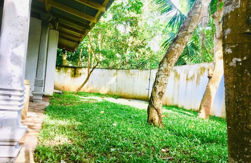 Weligama Maison | Jungle - Retraite Surf et Culture