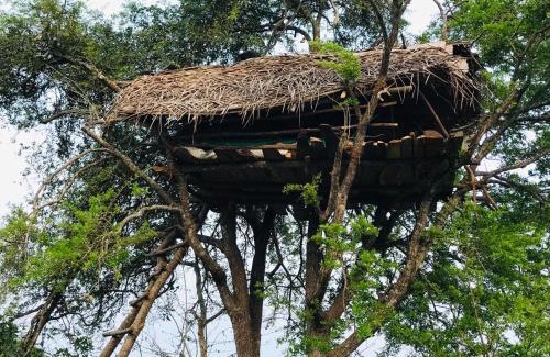 Anuradhapura Autre | Jungle Tree Hut Anuradhapura Sri Lanka