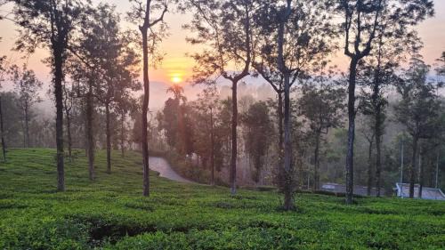 Gudalur Station Balnéaire | Jungle Tusker Resort The Nilgiris