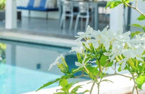 Canafistula Villa | Jungle villa