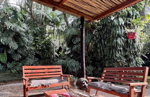 Nelspruit Appartement | Jungle view apartment with big patio - LoerieRoep Unit 4