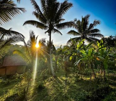 East Selemadeg Chalet De Ski | JungleHavenBali - Private Nature Stay