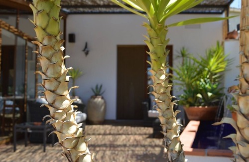 Benissoda Appartement | junior Suite en el Hotel la Sitja