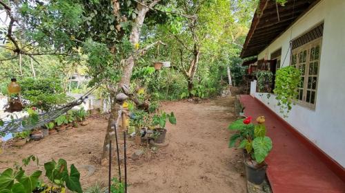 Mulatiyana Maison | Juno Homestay