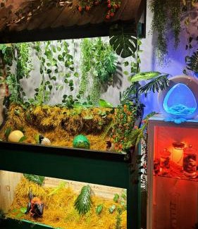 Rosnay Maison | Jurassic Lodge, le repaire des dinosaures