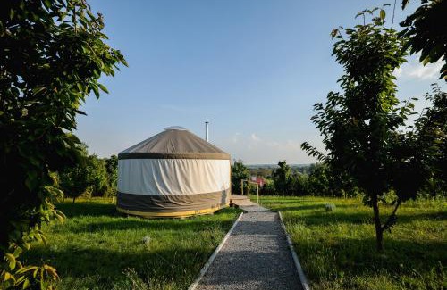 Sandomierz Autre | Jurta Rokitek61