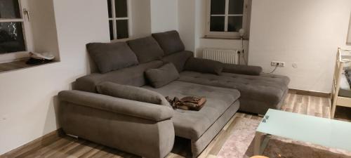 Waldbrunn Appartement | Käfer a