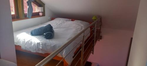 Bekescsaba Appartement | Két Puli Vendégház