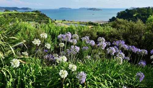 Tawharanui Maison | Kākā Ridge Retreat Luxury Cottage