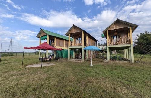 Golaghat Autre | Kāziranga Nature Stay