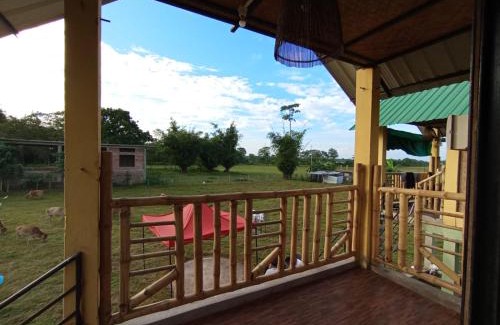 Golaghat Autre | Kāziranga Nature Stay