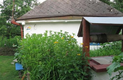 Kiev Oblast Maison | Kалиновий Kущ