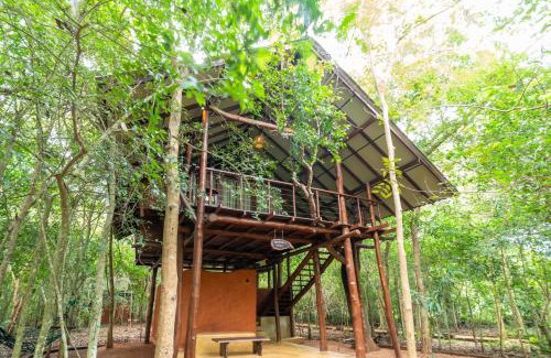 Attikulama Station Balnéaire | Kaala Kalaththewa Luxury Eco Resort