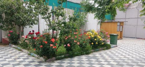 Kabul Maison | Kabul Royal Guest House