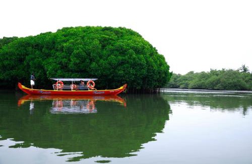 Kadalundi Maison | Kadingis homestay and eco tourism