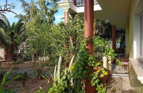 Coromandel Maison | Kafé Marron: Guesthouse, 100m from beach. 4 rooms for rent, half-board option