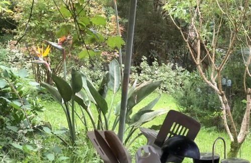 Apollo Bay Maison | Kahmahnee - Apollo Bay dog friendly retreat