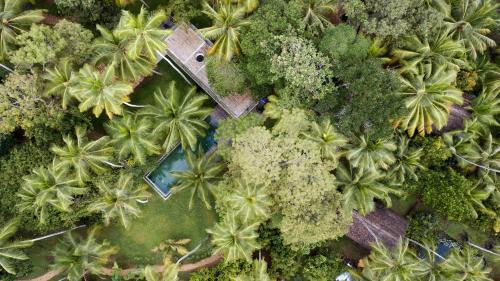 Unawatuna Hôtel | KAJU GREEN eco lodges