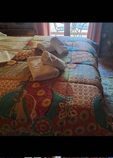 Ano Zakhlorou Appartement | Kalavrita Mood