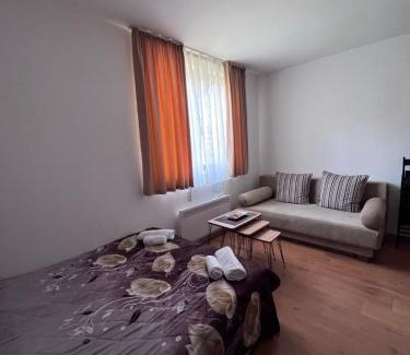 Shiligarnika Appartement | Kalina Apartment's in Bansko