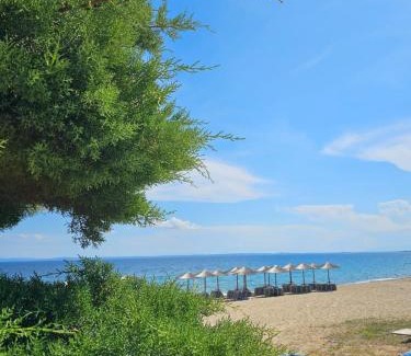 Kalyves Polygyrou Appartement | Kalybeach Studio