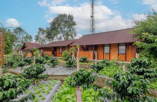 Candikuning Maison | Kampung Bingo Glamping & Resto by Great Bali Villas