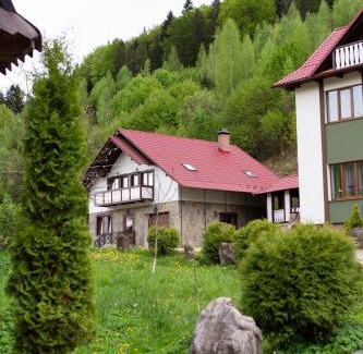 Yaremche Maison | Kamyanka