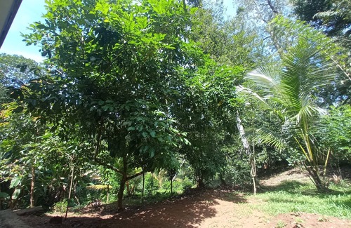 Kadugannawa Villa | Kandy Breeze Stay : A Villa in relaxing natural surrounding with a Spice Garden