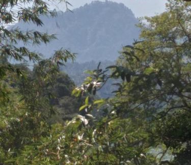 Udapalatha Maison | Kandy Okaya