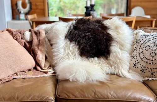 Kangaroo Valley Maison | Kangaroo Valley Timber Cabin