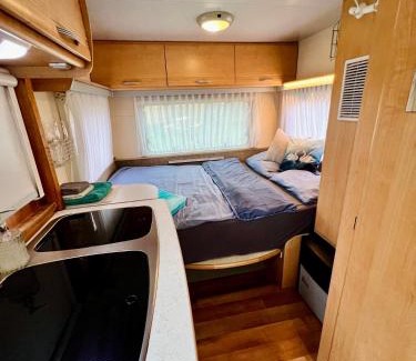Pacejov Cabine | Karavan v březovém háječku