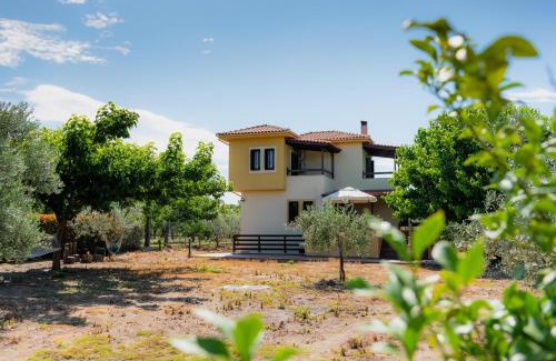 Artemida Maison | Karavos Grove